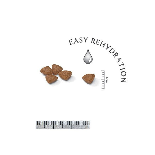 Royal Canin Mini Starter (2)