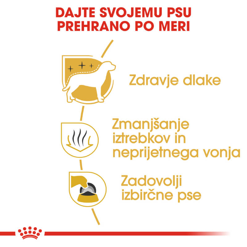 Royal Canin Maltese Adult (3)