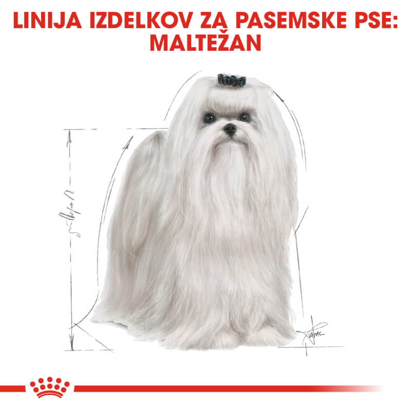 Royal Canin Maltese Adult (4)