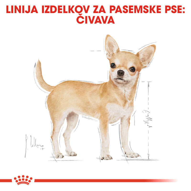 Royal Canin Chihuahua Adult (4)