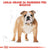 Royal Canin Bulldog Adult (3)