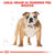 Royal Canin Bulldog Adult (4)