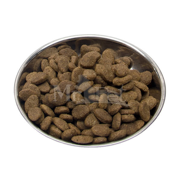 Barking Heads Golden Years za starejše pse (4)