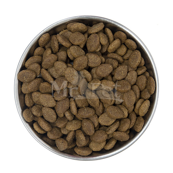 Barking Heads Golden Years za starejše pse (5)