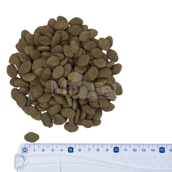 Barking Heads Golden Years za starejše pse (6)