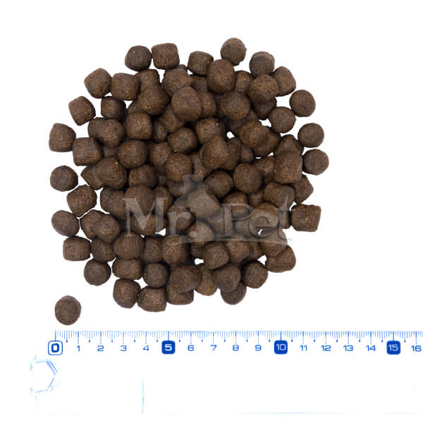 Barking Heads All Hounder Hair Necessities - losos (5)