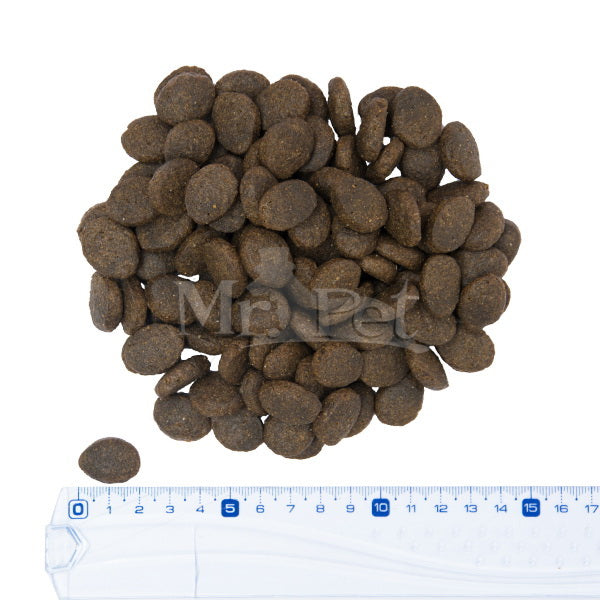 Fish4Dogs Adult - losos - veliki briketi (4)