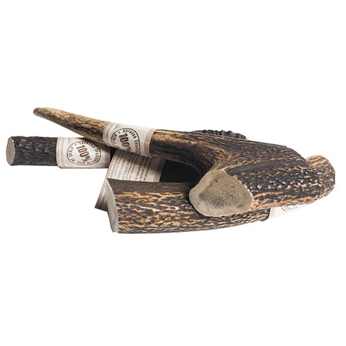 WolfPack rogovje jelena - različne velikosti - S