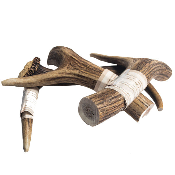 WolfPack rogovje jelena - različne velikosti - L