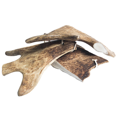 WolfPack rogovje damjaka - različne velikosti - L