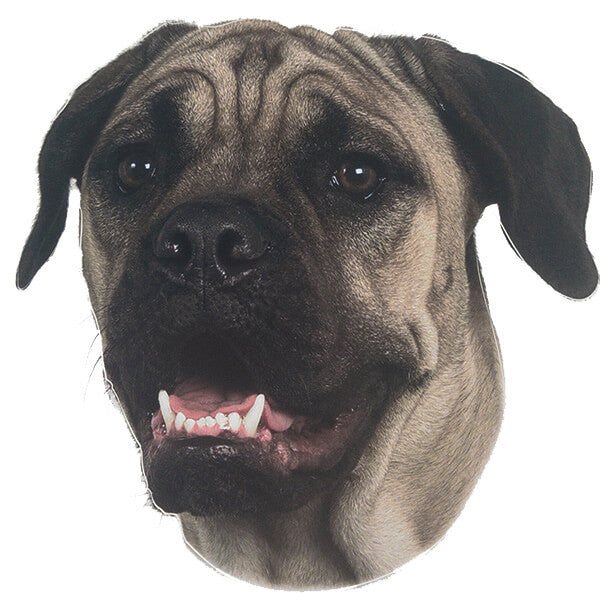 Pasemske nalepke, različne pasme (2 kos) - bulmastif