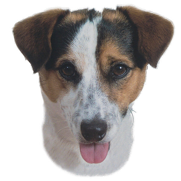 Pasemske nalepke, različne pasme (2 kos) - jack russell terier (kratkodlaki)