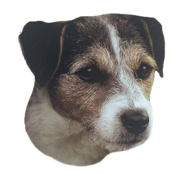 Pasemske nalepke, različne pasme (2 kos) - jack russell terier (resasti)
