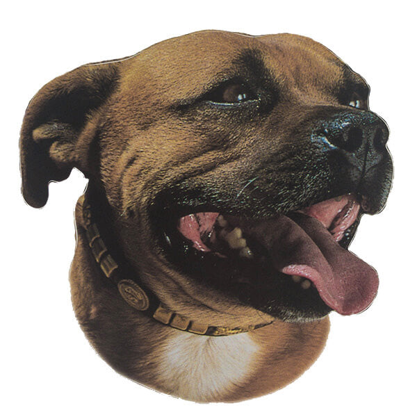 Pasemske nalepke, različne pasme (2 kos) - staffordshire bull terier