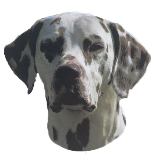 Pasemske nalepke, različne pasme (2 kos) - dalmatinec