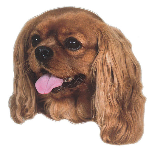 Pasemske nalepke, različne pasme (2 kos) - cavalier king charles španjel (rjav)