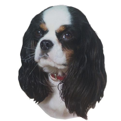 Pasemske nalepke, različne pasme (2 kos) - cavalier king charles španjel (tricolor)