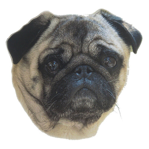 Pasemske nalepke, različne pasme (2 kos) - mops