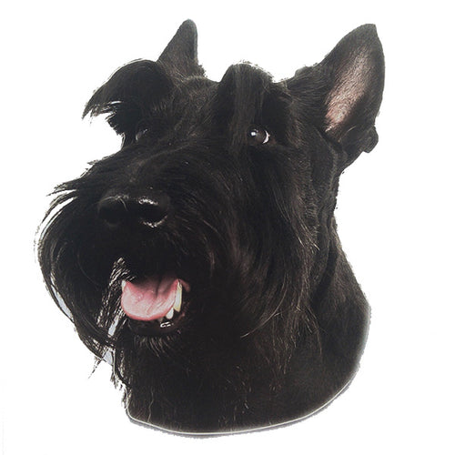 Pasemske nalepke, različne pasme (2 kos) - šnavcer