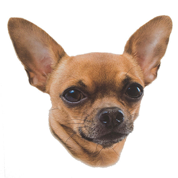 Pasemske nalepke, različne pasme (2 kos) - čivava (kratkodlaka)