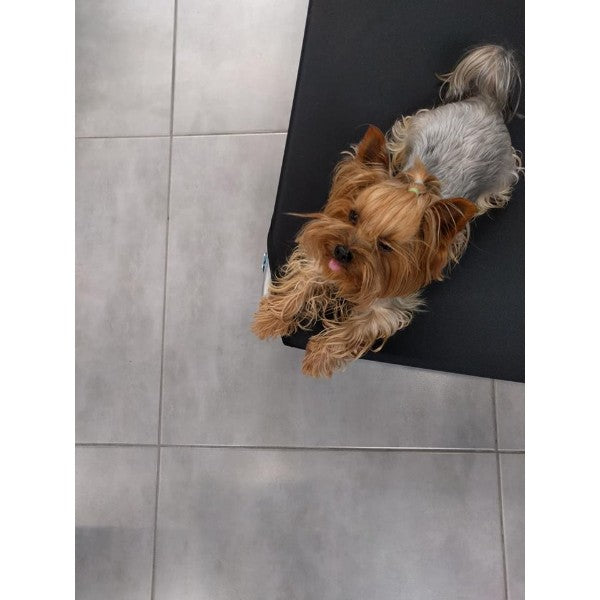 Leopet ležalnik Oxford, črn (2)