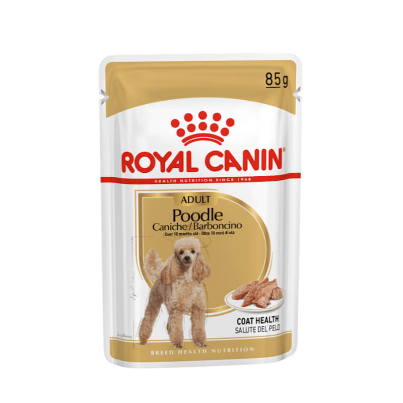 Royal Canin Adult Poodle - pašteta - 85 g