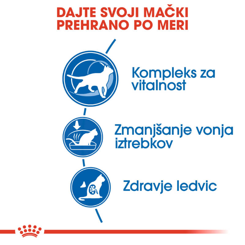 Royal Canin Indoor +7 (3)