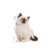 Royal Canin Kitten (4)