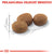 Royal Canin Sterilised (2)