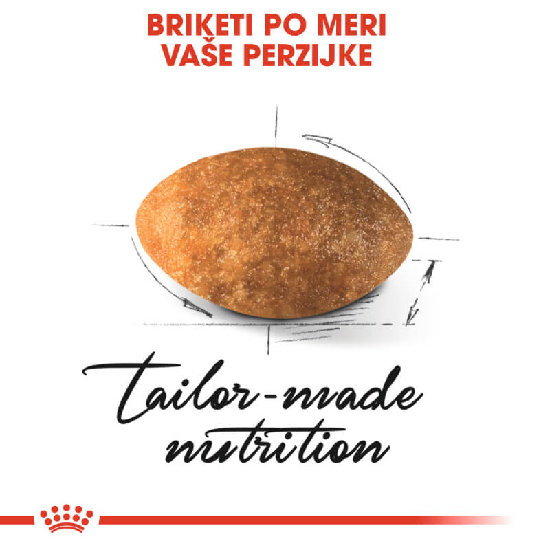 Royal Canin Persian Adult (2)