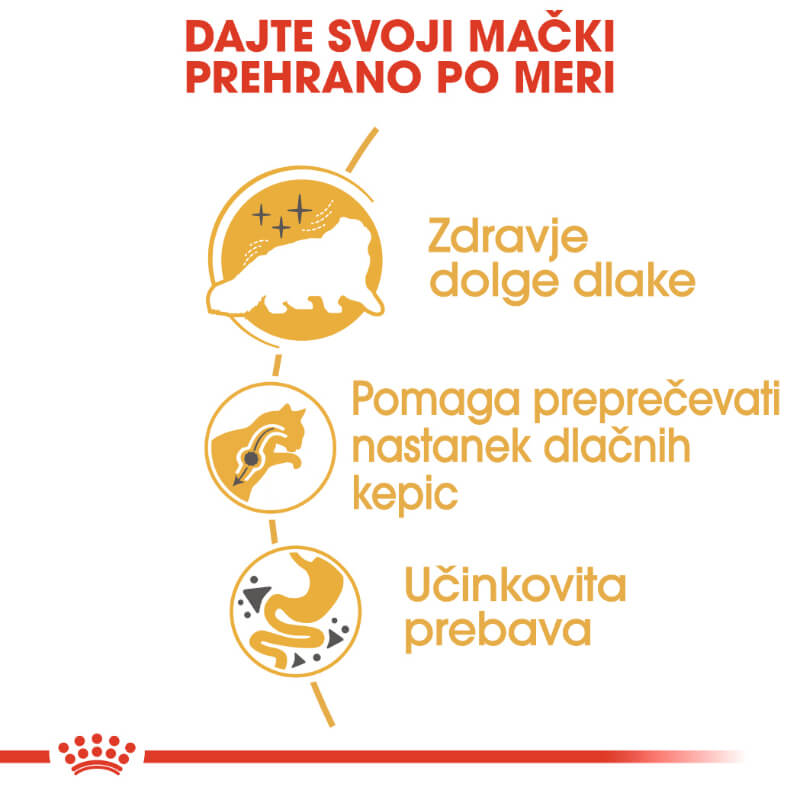 Royal Canin Persian Adult (3)