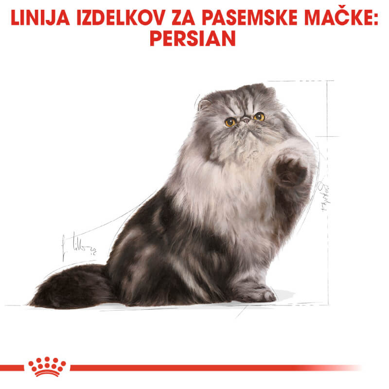 Royal Canin Persian Adult (4)