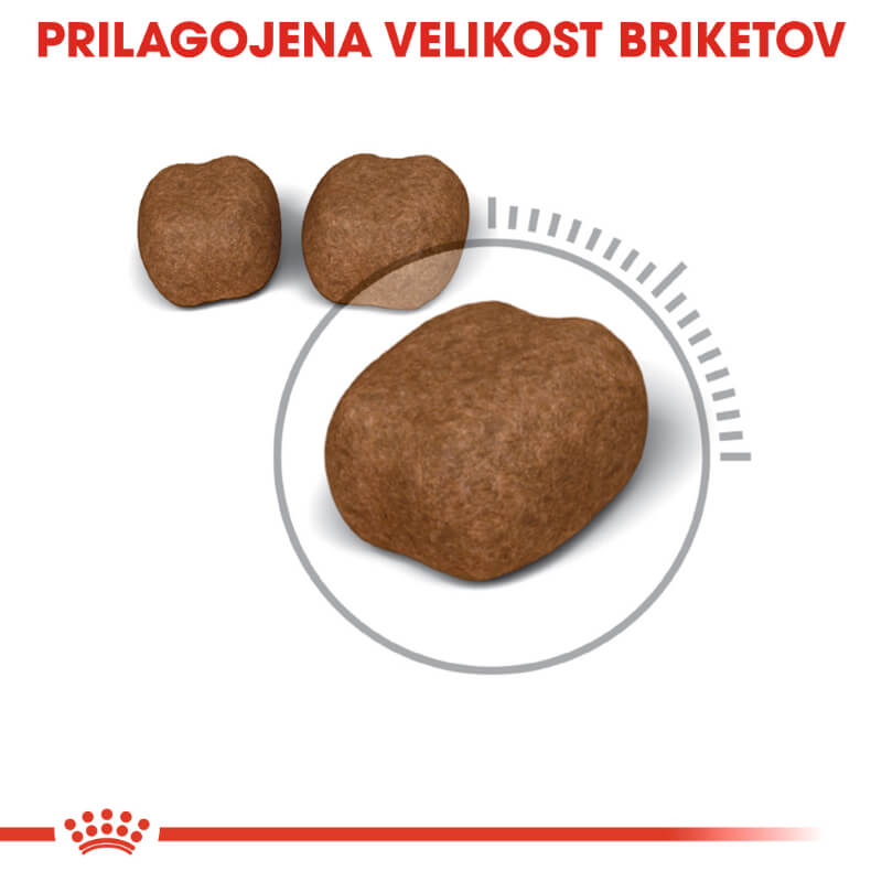 Royal Canin Oral Sensitive (2)