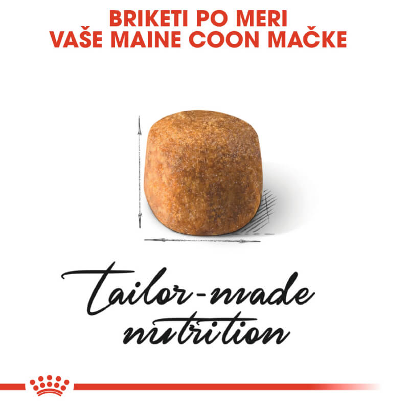 Royal Canin Maine Coon Adult (2)