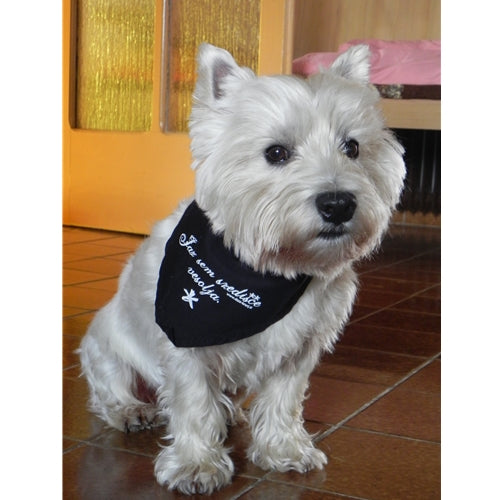 Mr.Pet spletna trgovina