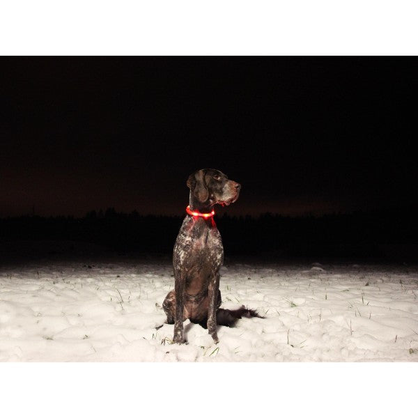 Nobby varnostna LED ovratnica, rdeča (2)