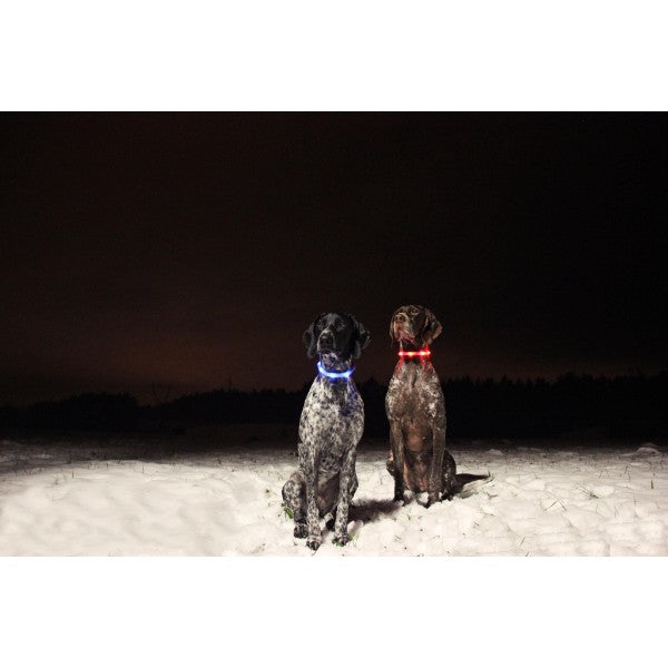 Nobby varnostna LED ovratnica, rdeča (3)