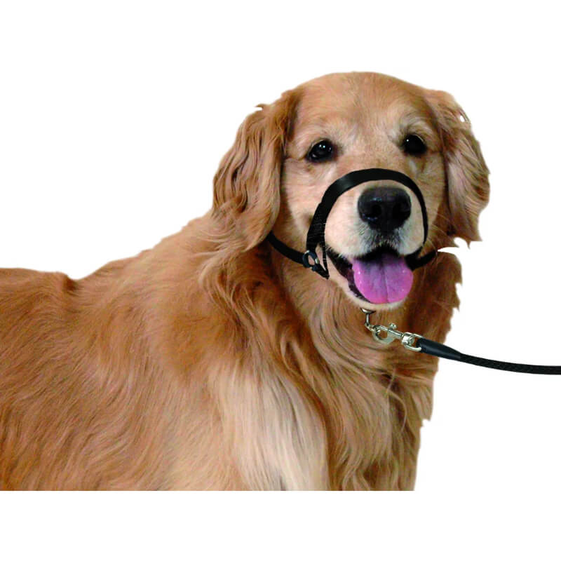 Flamingo oglavnica Easy Leader, M - 42-55 cm (3)