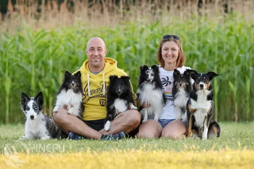 Spletna trgovina Mr.Pet