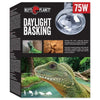 Lighting for Terrariums