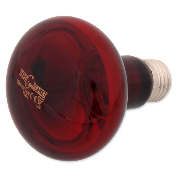 Repti Planet grelna žarnica Infrared Heat - 100 W (3)