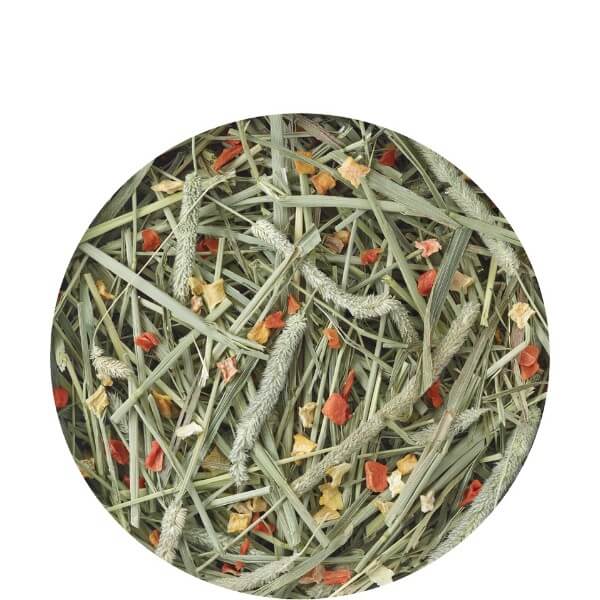 Versele Laga Nature seno Timothy Hay - korenje in buča - 500 g (2)