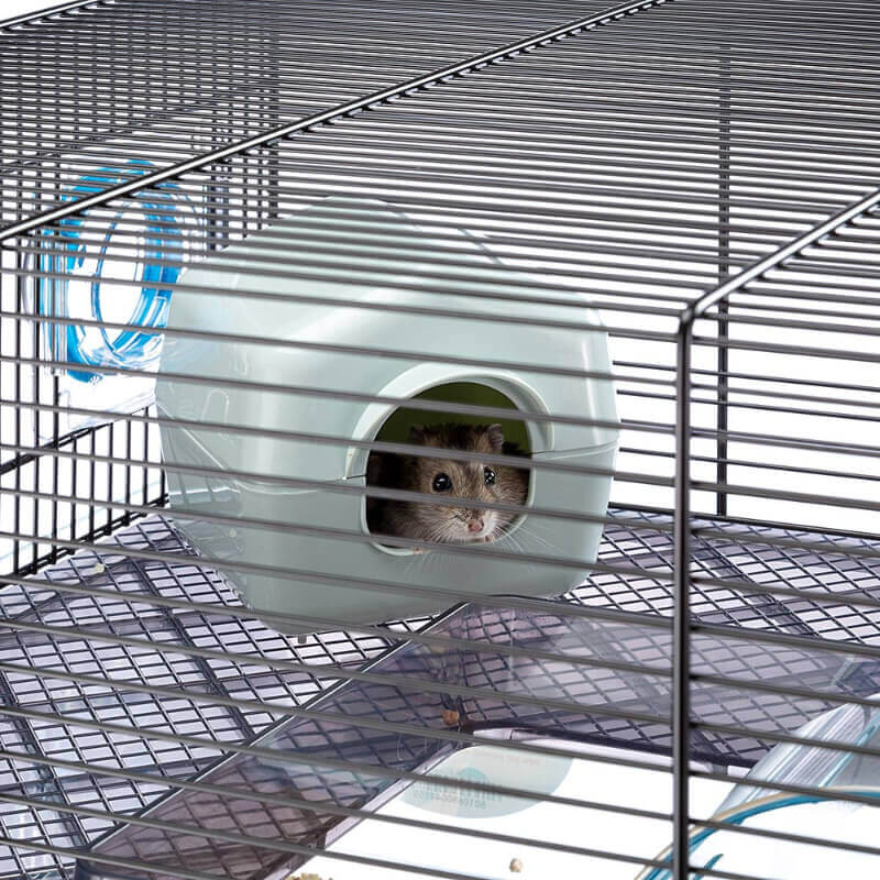 Ferplast kletka Favola, črna - 60 x 36,5 x 30 cm (4)