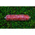 Von Barf Classic - govedina (3)