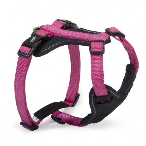 Camon oprsnica Classic Reflective 5-Way, fuksija - XS