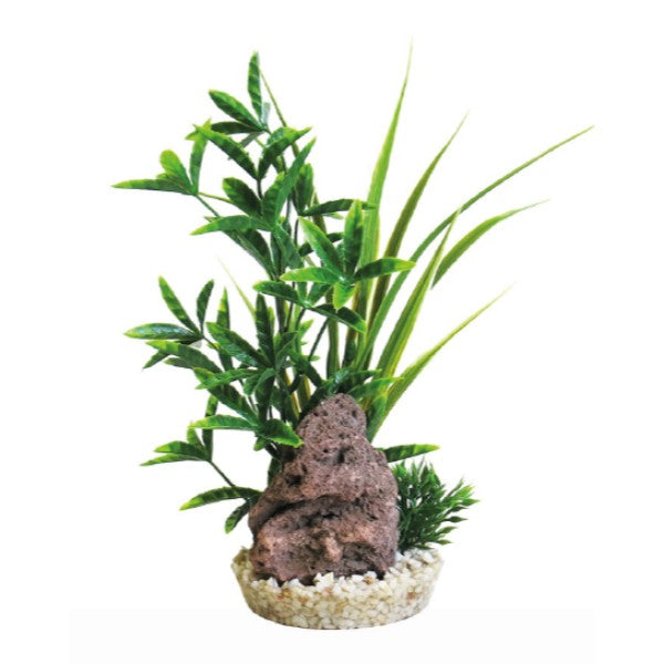 Sydeco dekor Bacopa Reef