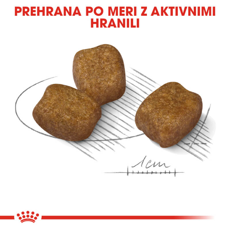 Royal Canin Mini Dental Care - 1 kg (2)