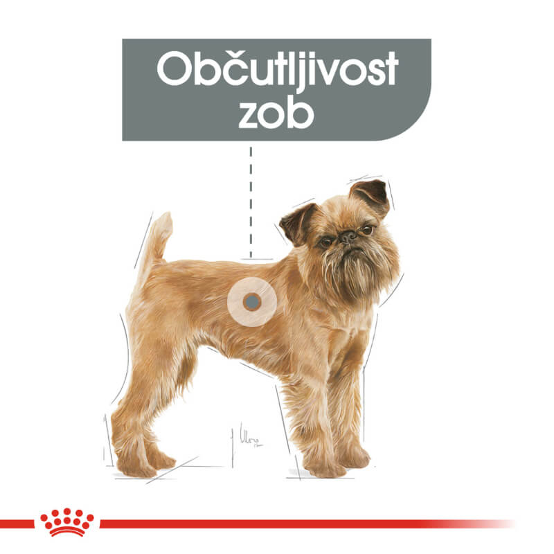 Royal Canin Mini Dental Care - 1 kg (3)