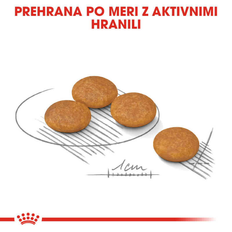 Royal Canin Mini Adult Dermacomfort - 1 kg (2)