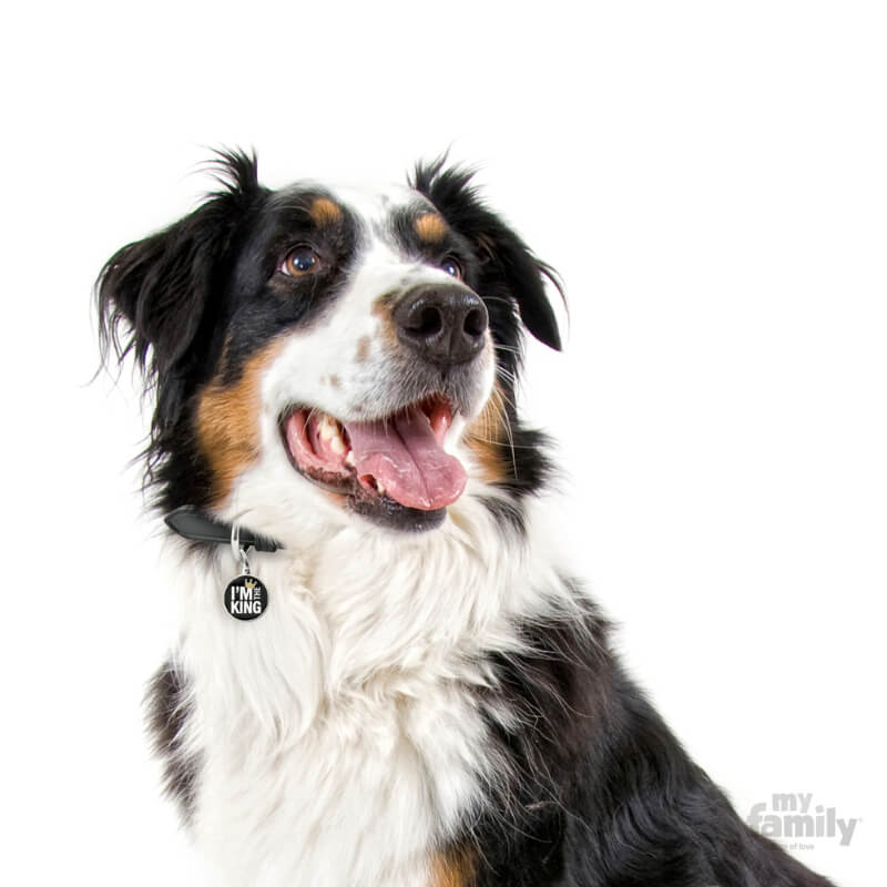 My Family identifikacijski obesek I'm The King - GRAVIRANJE GRATIS! (3)